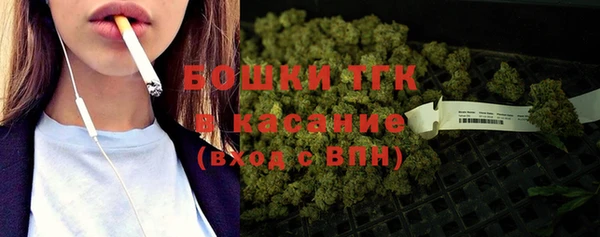 ПСИЛОЦИБИНОВЫЕ ГРИБЫ Аркадак