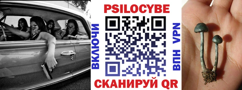 Галлюциногенные грибы мицелий Мамадыш